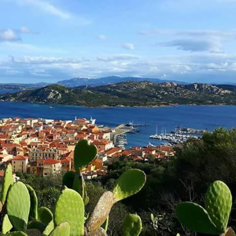 Sweet Home La Maddalena La Maddalena  Luaran gambar